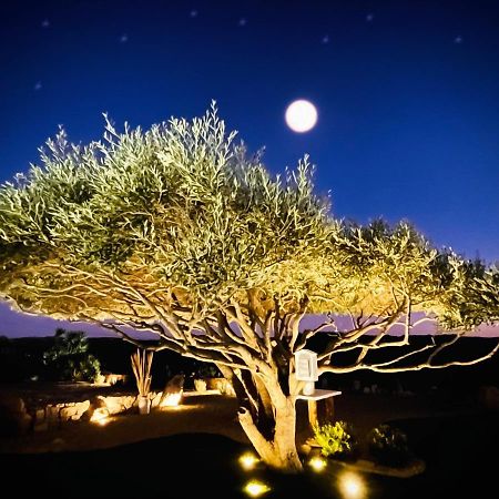 B&B Anastasia Santa Teresa Gallura Luaran gambar