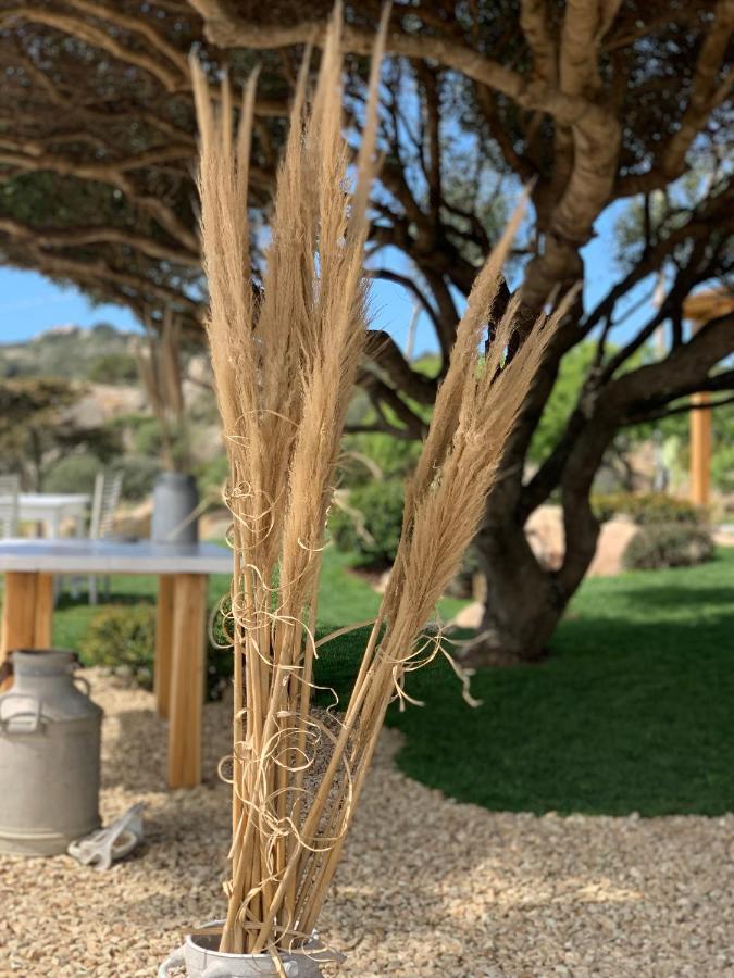 B&B Anastasia Santa Teresa Gallura Luaran gambar